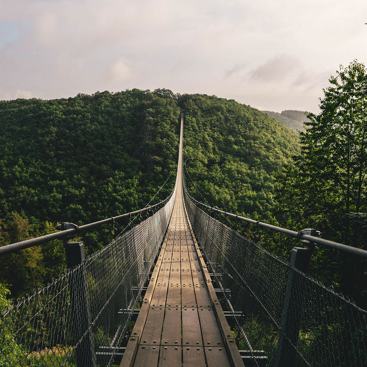 Mehr Klicks mit Longtail Keywords