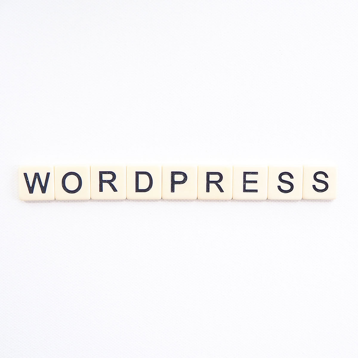 Wordpress Blog und Content Management System