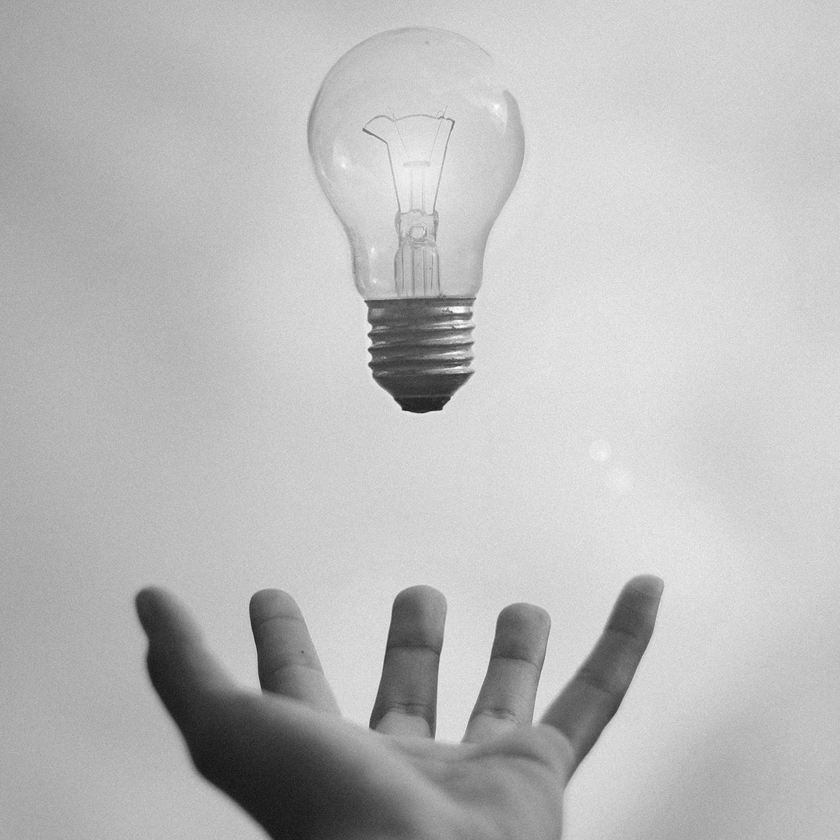 Frage - Agentur oder selber schalten?