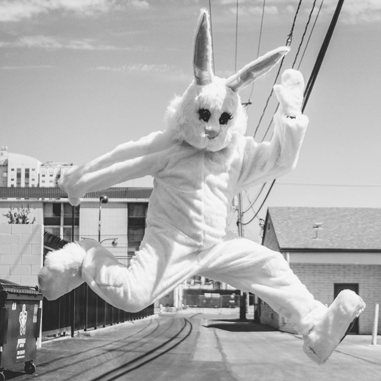 Blog - Wie läuft der Hase? Wir wissen wie der Hase läuft!